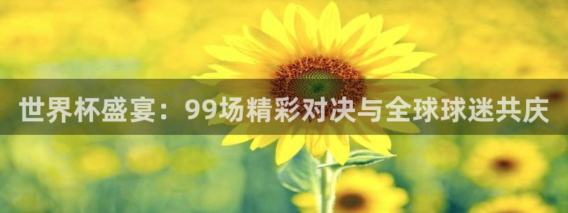 世界杯预选赛规则:世界杯盛宴:99场精彩对决与全球球迷共庆