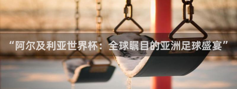 世界杯48支球队赛制：“阿尔及利亚世界杯：全球瞩目的亚洲足球盛宴”