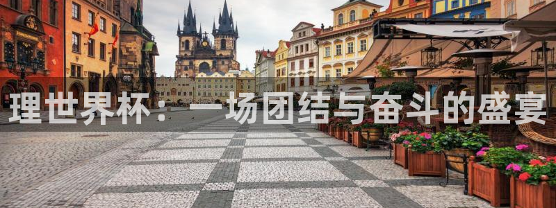 世预赛直播:理世界杯:一场团结与奋斗的盛宴