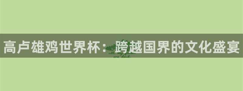 今天所有足球赛程表：高卢雄鸡世界杯：跨越国界的文化盛宴