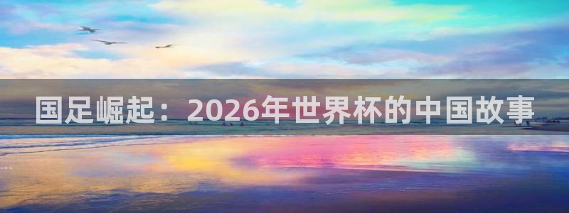 世界杯预选赛欧洲区赛程：国足崛起：2026年世界杯的中国故事