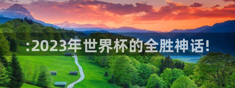 2026世界杯南美区积分榜：:2023年世界杯的全胜神话!