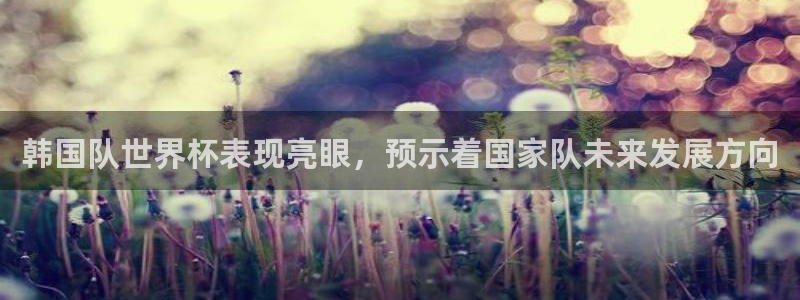 2026世界杯中国队:韩国队世界杯表现亮眼,预示着国家队未来发展方向