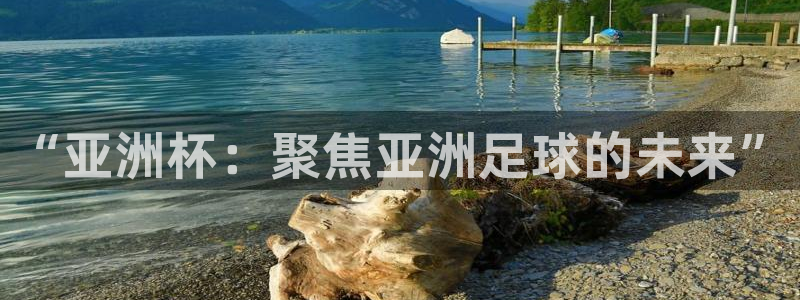 今天所有足球赛程表：“亚洲杯：聚焦亚洲足球的未来”