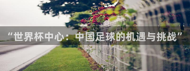 世界杯预选赛亚洲区赛程：“世界杯中心：中国足球的机遇与挑战”