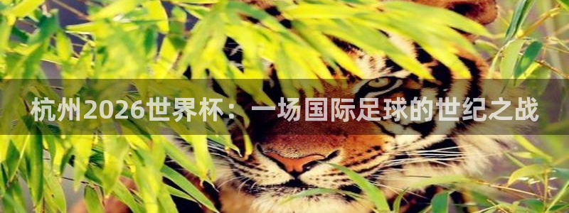 世界杯预选赛欧洲：杭州2026世界杯：一场国际足球的世纪之战