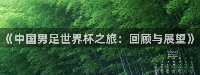 足球杯：《中国男足世界杯之旅：回顾与展望》