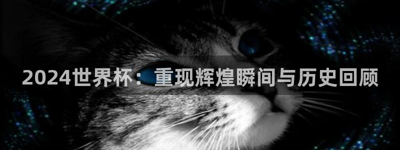 今年世界杯：2024世界杯：重现辉煌瞬间与历史回顾