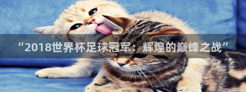 欧洲世界杯预选赛：“2018世界杯足球冠军：辉煌的巅峰之战”