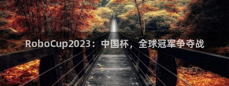 世界杯预选赛直播：RoboCup2023：中国杯，全球冠军争夺战
