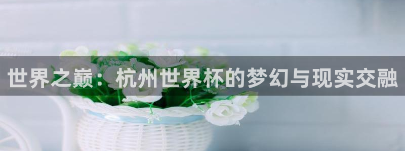 澳门世界杯直播：世界之巅：杭州世界杯的梦幻与现实交融