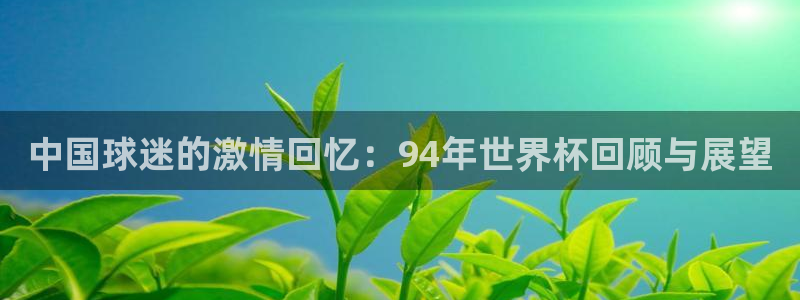 世界杯决赛直播：中国球迷的激情回忆：94年世界杯回顾与展望